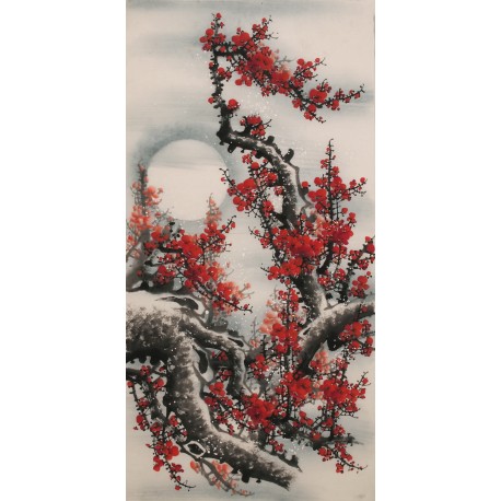 Plum - CNAG000546