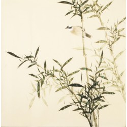 Green Bamboo - CNAG005456
