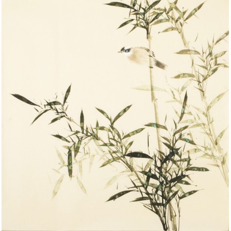 Green Bamboo - CNAG005456