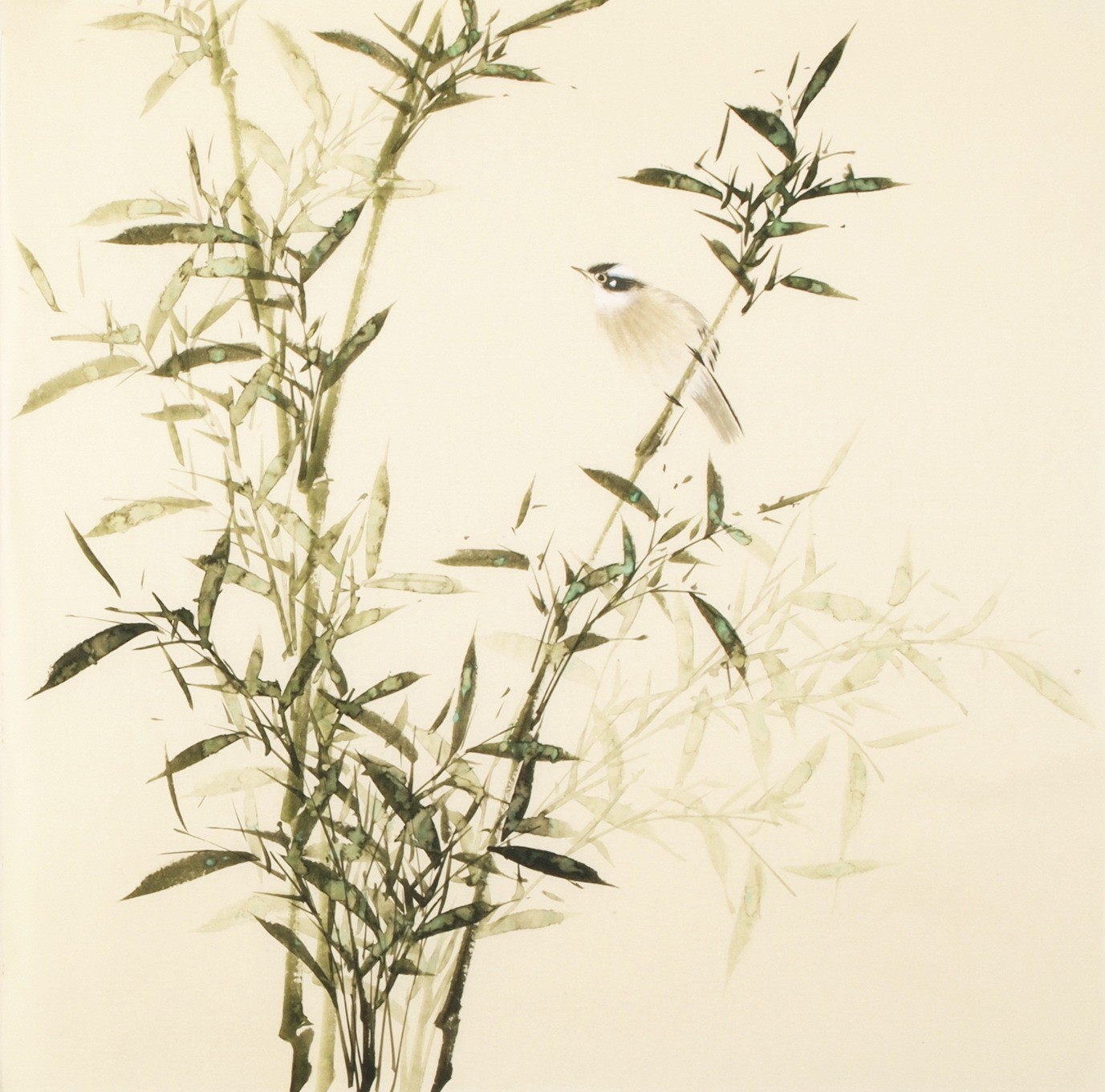 Green Bamboo - CNAG005460