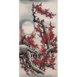 Plum - CNAG000547