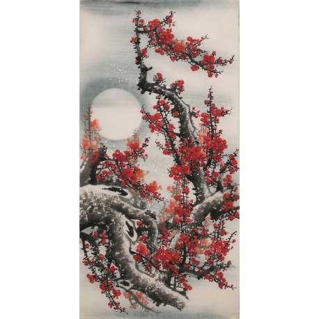 Plum - CNAG000547