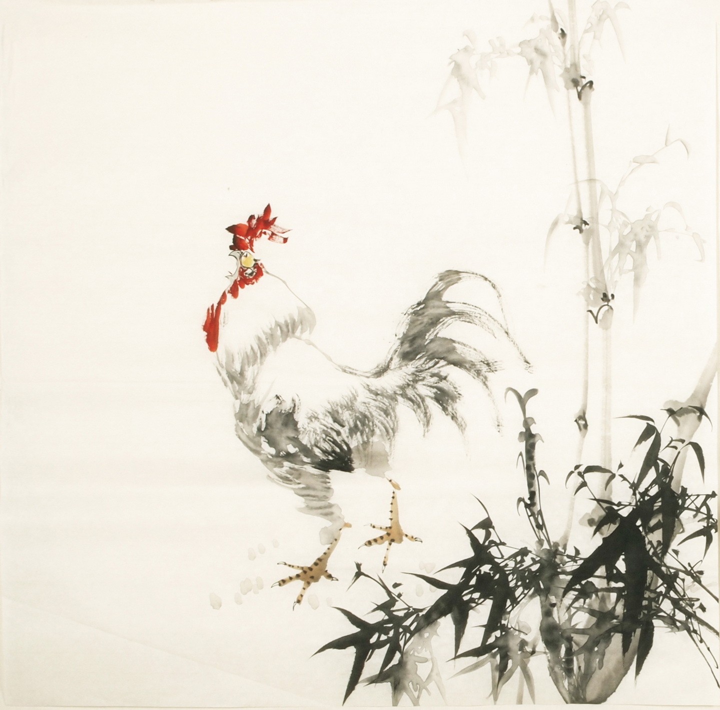 Chicken - CNAG005466