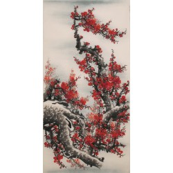 Plum - CNAG000548