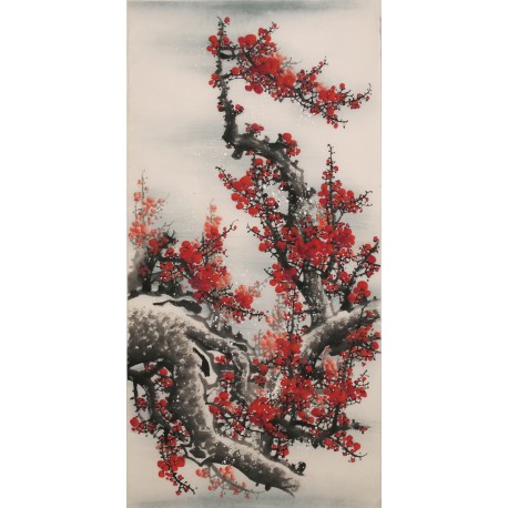 Plum - CNAG000548