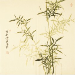 Green Bamboo - CNAG005477
