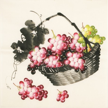 Grapes - CNAG005478