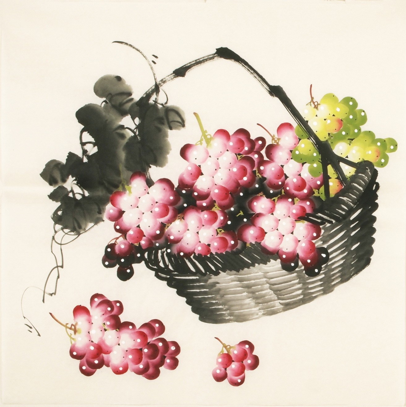 Grapes - CNAG005478