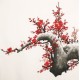 Plum - CNAG005480