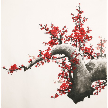 Plum - CNAG005480