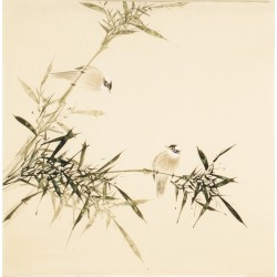 Green Bamboo - CNAG005482