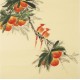 Peach Blossom - CNAG005489