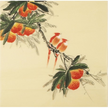 Peach Blossom - CNAG005489