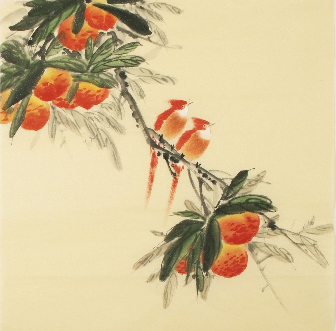 Peach Blossom - CNAG005489