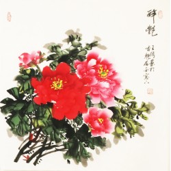 Peony - CNAG005492
