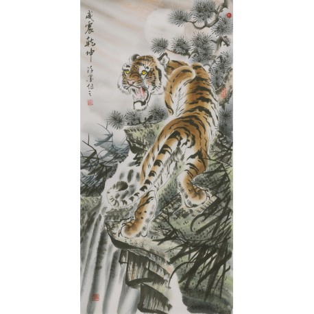 Tiger - CNAG000055