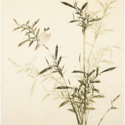 Green Bamboo - CNAG005501
