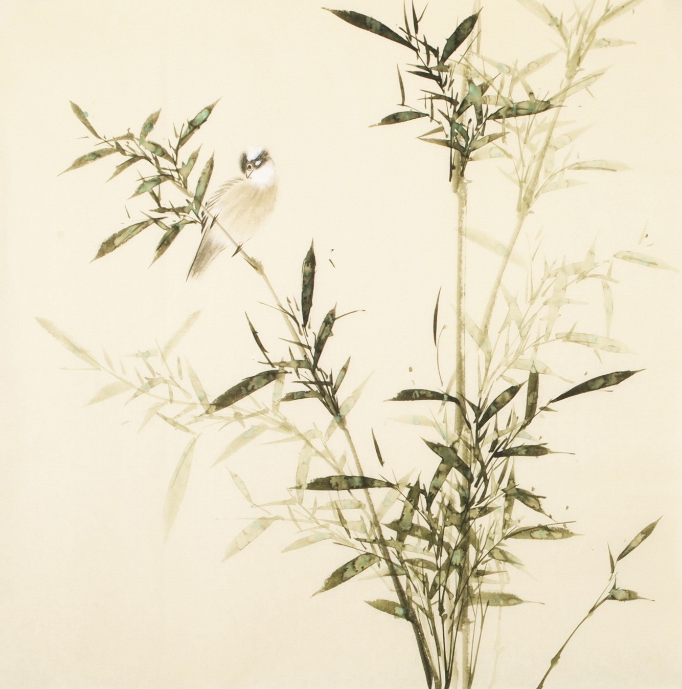 Green Bamboo - CNAG005501