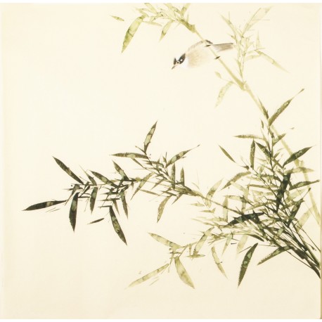 Green Bamboo - CNAG005506