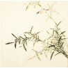 Green Bamboo - CNAG005506