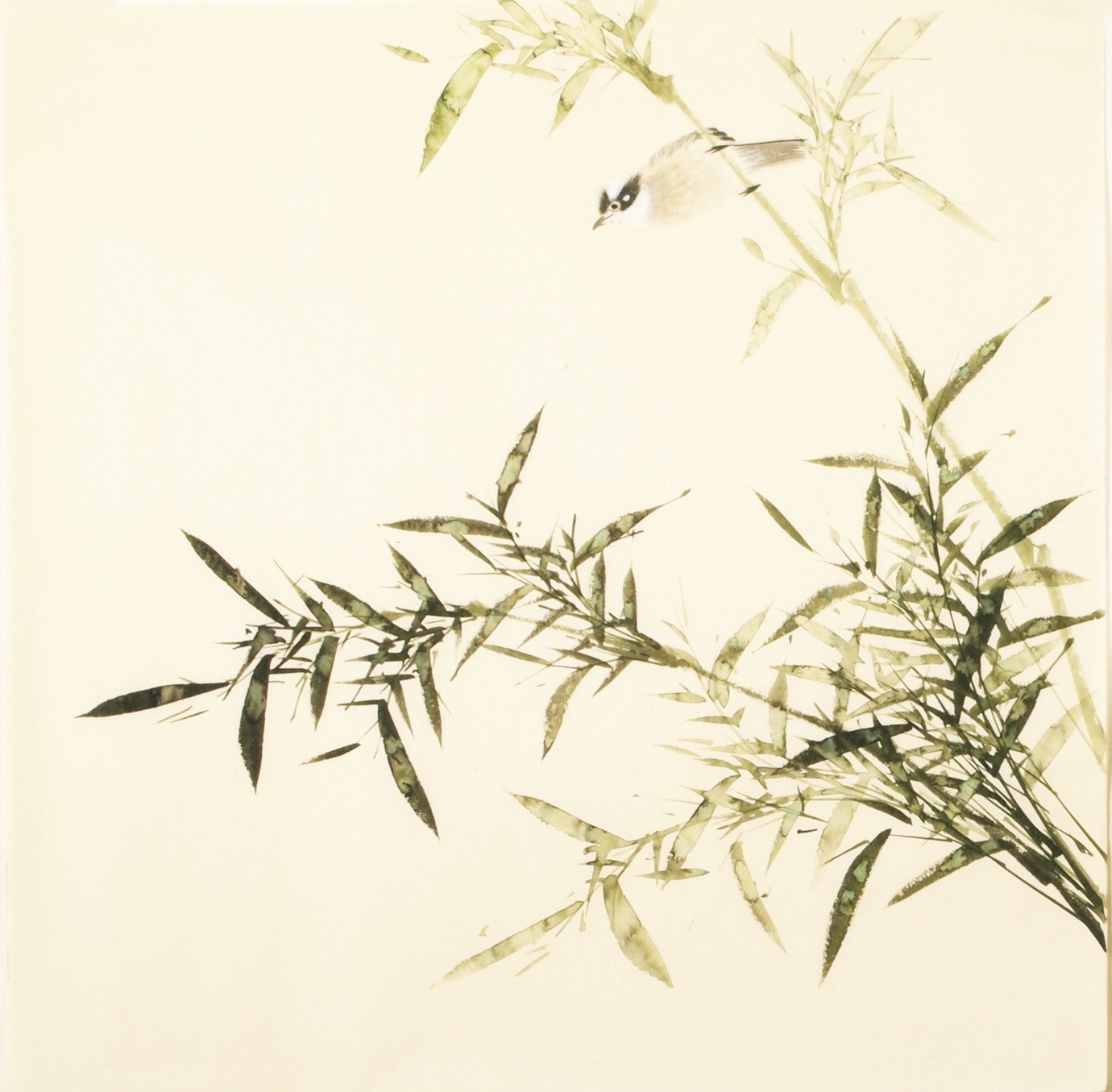 Green Bamboo - CNAG005506