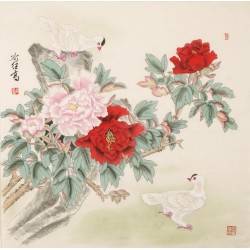 Peony - CNAG005507