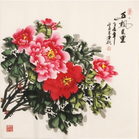 Peony - CNAG005508