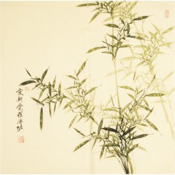 Green Bamboo - CNAG005511