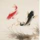 Fish - CNAG005518