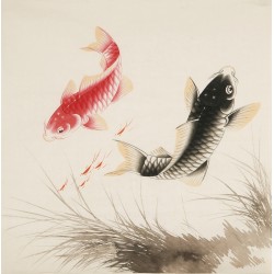 Fish - CNAG005518