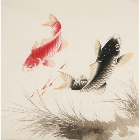 Fish - CNAG005518