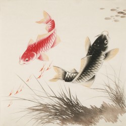 Fish - CNAG005519