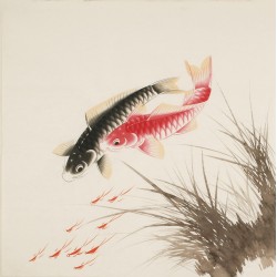 Fish - CNAG005520