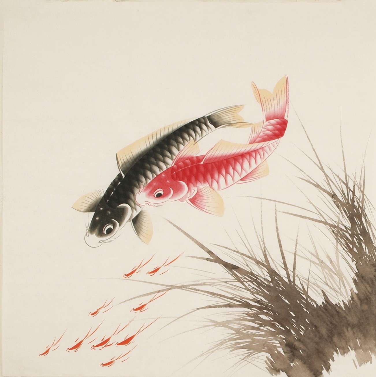 Fish - CNAG005520