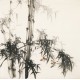 Ink Bamboo - CNAG005522