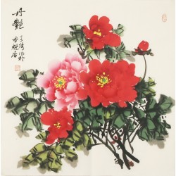 Peony - CNAG005523
