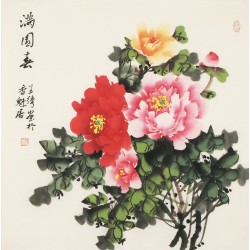 Peony - CNAG005525