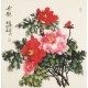 Peony - CNAG005526