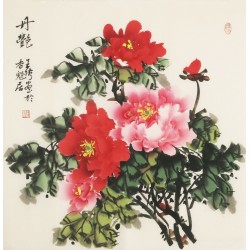 Peony - CNAG005526