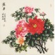 Peony - CNAG005527