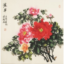 Peony - CNAG005527