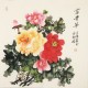 Peony - CNAG005528