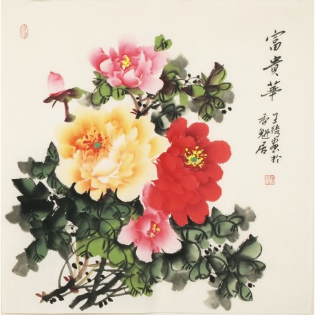 Peony - CNAG005528