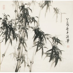Ink Bamboo - CNAG005529