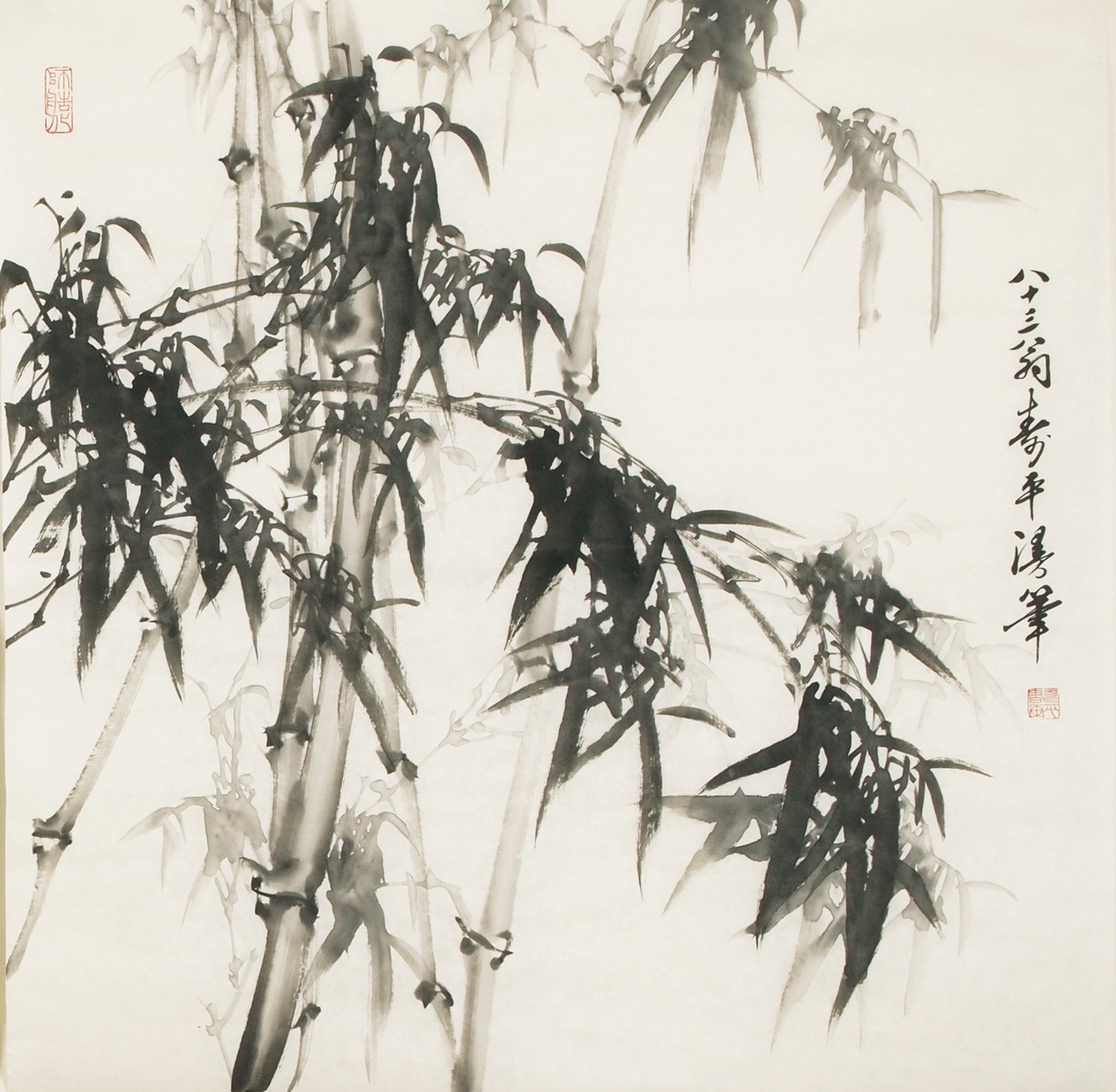 Ink Bamboo - CNAG005529