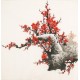 Plum - CNAG005530