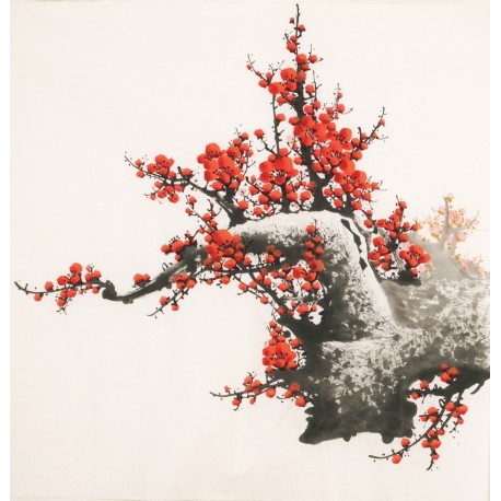 Plum - CNAG005530
