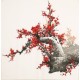 Plum - CNAG005531