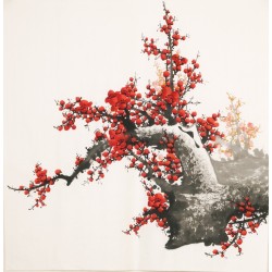 Plum - CNAG005531