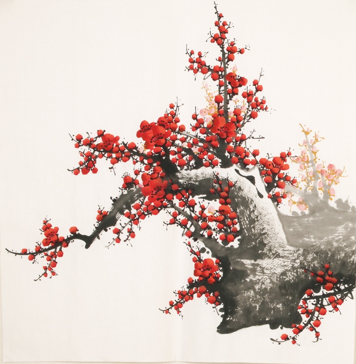 Plum - CNAG005531